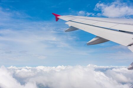 Image plane of the wing