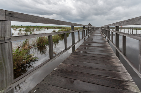 The old wooden bridge in Thailandの写真素材
