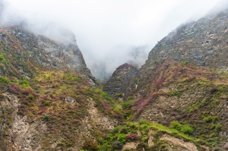 zhang jia jie Valley in the mistの写真素材