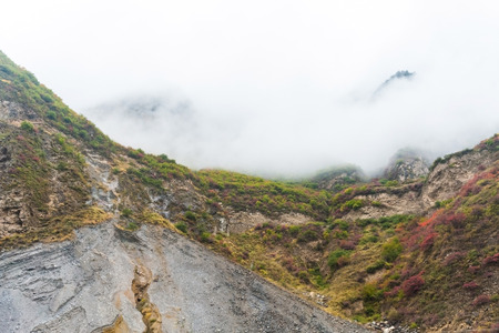 zhang jia jie Valley in the mistの写真素材