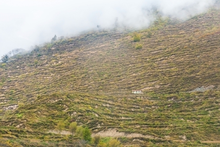 zhang jia jie Valley in the mistの写真素材