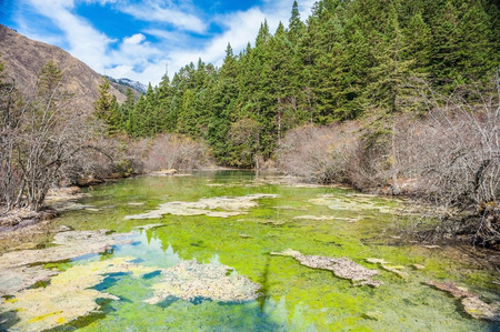 Huanglong in Chinaの写真素材