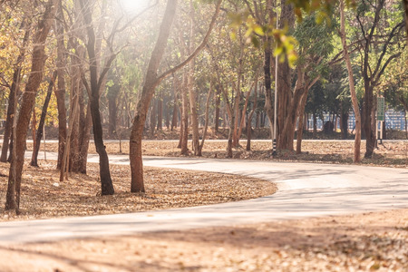 Road on mountainの写真素材