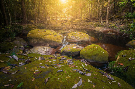 Water fall in mountain forestの写真素材