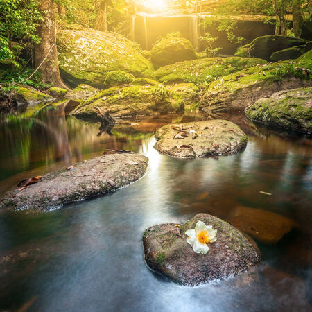 Water fall in mountain forestの写真素材