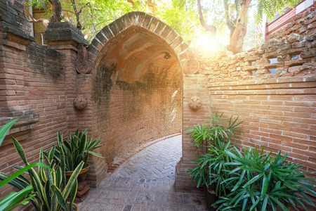 nature trail in myanmarの写真素材