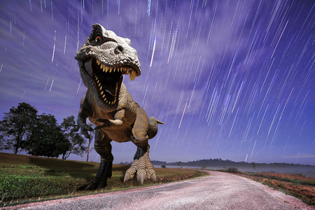 Dinosaurs model on star fall in mountain backgroundの写真素材