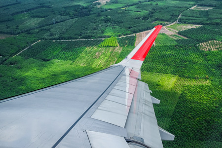 Green field View from Airplane Windowの写真素材