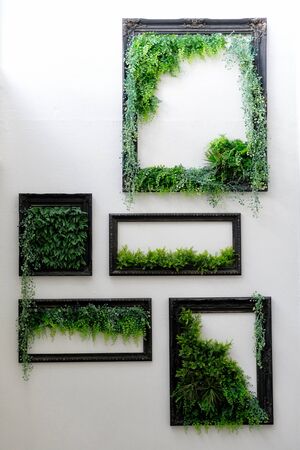 Nature frame on white wall の写真素材