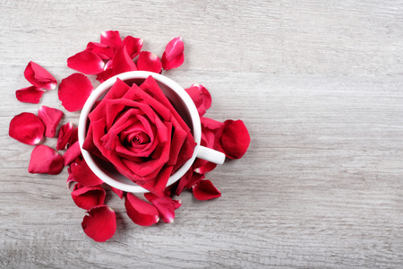 Happy Valentine's Day Concept with red roses in cup and space for textの写真素材