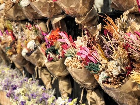 Dry flower hanging on the street. Vintage decoation for cafe and resturantの写真素材