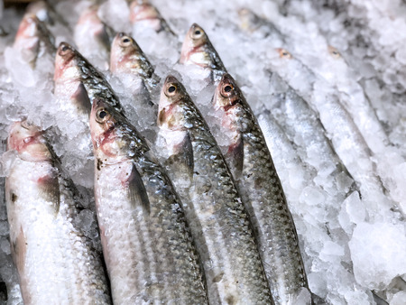 Fresh fish in street food Asian marketの写真素材