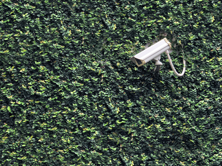 CCTV camera recording safety in our property on nature backgroundの写真素材