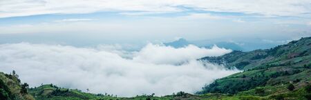 Phu Thap Boek sea of fog In Phetchabun, Thailandの写真素材