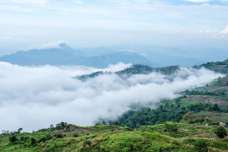 Phu Thap Boek sea of fog In Phetchabun, Thailandの写真素材