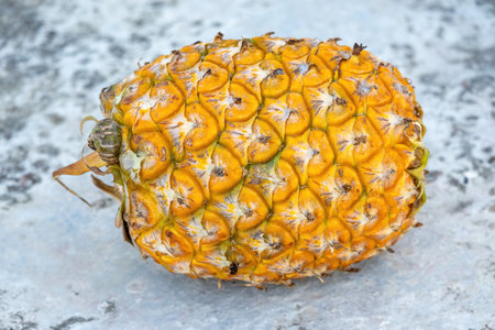 A ripe pineapple (Ananas comosus) fruit placed on concrete floor.の写真素材