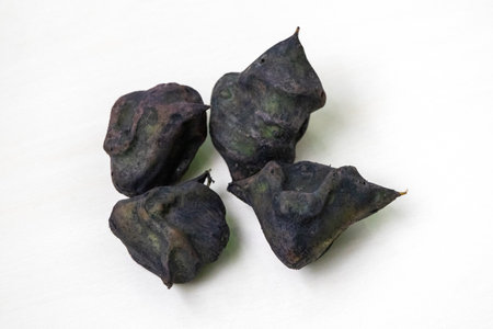 Water chestnuts, isolated on a white background. Locally known as Panifol in Bangladesh, this...