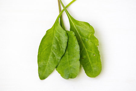 Fresh spinach (Spinacia oleracea), a leafy green vegetable commonly known as Palong Shak in Bangladesh, isolated on white background.の写真素材