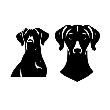 Vector image of a set of black and white doberman silhouettes.のイラスト素材
