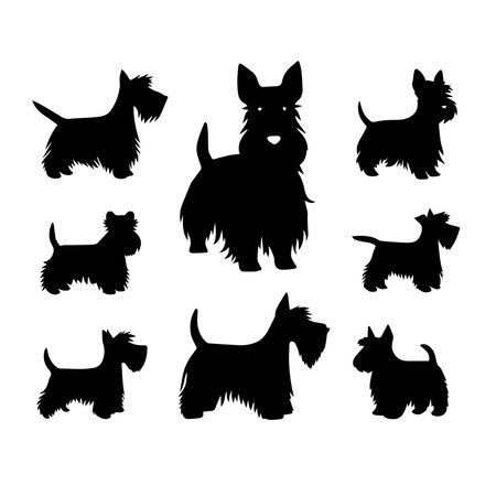 Set of black silhouettes of yorkshire terrier. Vector illustrationのイラスト素材