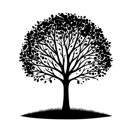 tree silhouette isolated on white background, black and white vector illustration.のイラスト素材