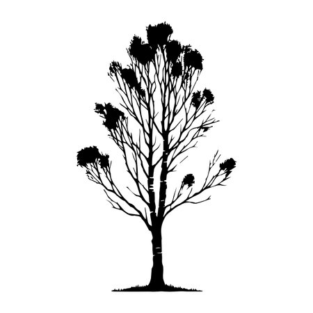 Silhouette of a tree. Black silhouette of a tree. Vector illustration.のイラスト素材