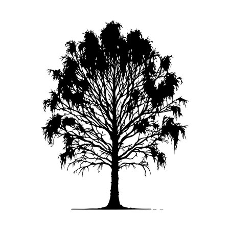 Silhouette of a tree on a white background. Vector illustrationのイラスト素材