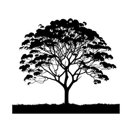 Tree silhouette isolated on white background. Vector Illustration. EPS 10のイラスト素材