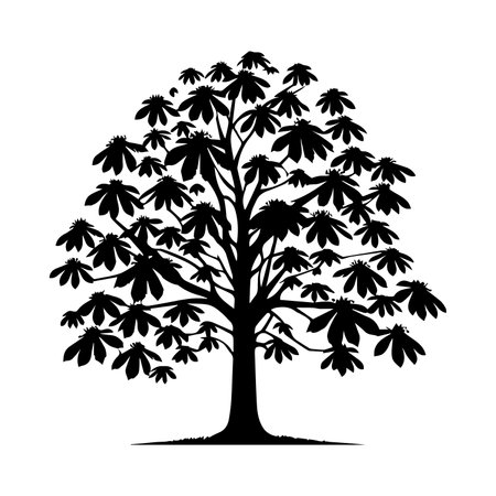 Black silhouette of chestnut tree on white background. Vector illustration.のイラスト素材
