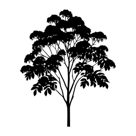 Tree silhouette isolated on white background. Vector illustration for your design.のイラスト素材