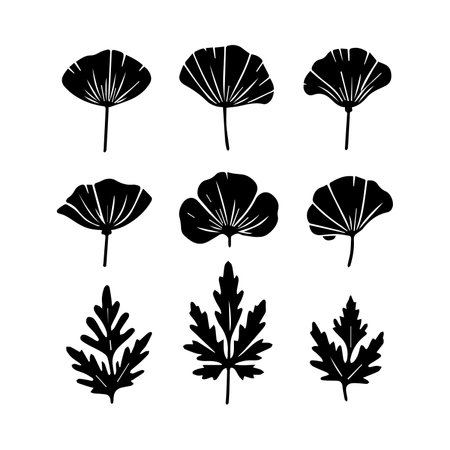 Set of black silhouettes of leaves on a white background. Vector illustrationのイラスト素材
