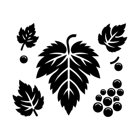 Black currant icon isolated on white background. Vector Illustration.のイラスト素材