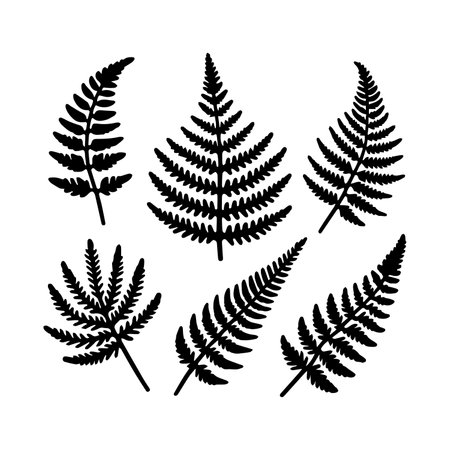 Set of black silhouettes of fern leaves. Vector illustration.のイラスト素材