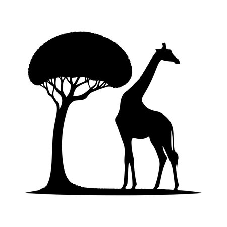 Silhouette of giraffe and acacia tree. Vector illustrationのイラスト素材