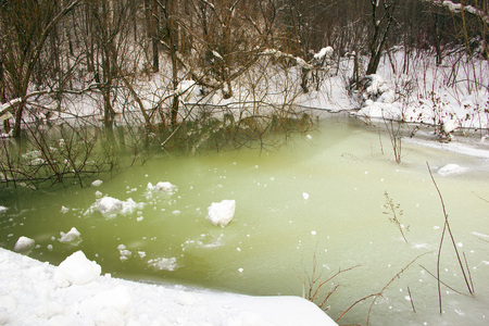 a small forest lake in the ice from which the bushes stick outの写真素材