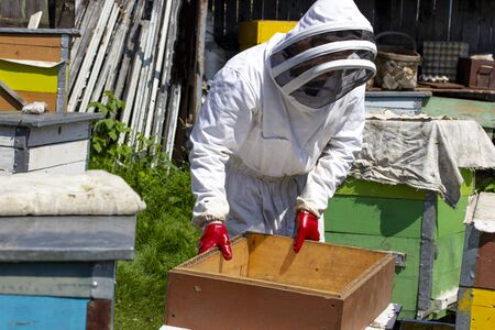 beekeepers work on apiaries with hives in special protective clothingの写真素材