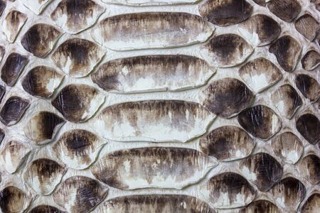 the background of the beautiful natural tanned leather reticulated Python macro
