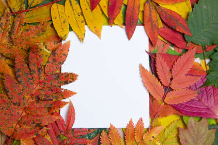 the place for the inscription is surrounded by autumn leaves