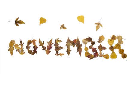the word November is laid out of multicolored autumn leaves on a white background