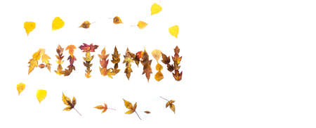 the word autumn is made of colorful autumn leavesの写真素材