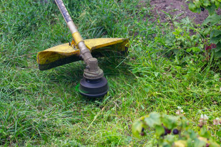 moving green grass with a trimmerの写真素材