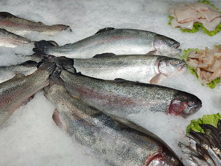 fresh trout is presented in the showcaseの写真素材