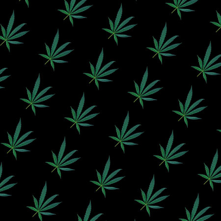 Hemp leaves on a black backgroundの写真素材
