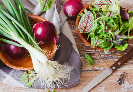 shallot, sorrel and spinach. health and diet conceptの写真素材