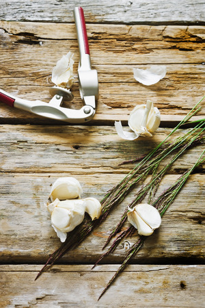 garlic cloves and garlic press on the old wooden background.の写真素材