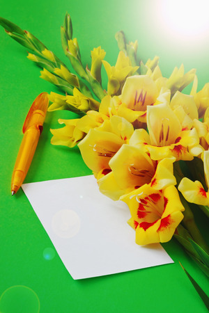 yellow gladiolus on a green background. holidays and events.copy space for  textの写真素材