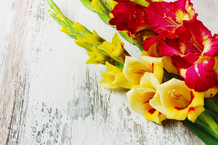 yellow and red gladiolus on a wooden background. holidays and events.copy space for you textの写真素材