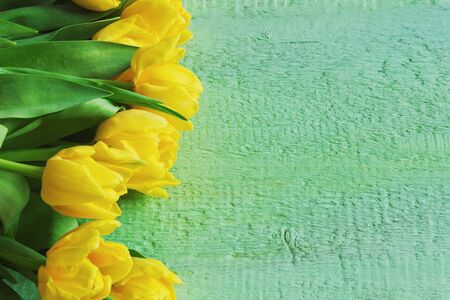 yellow tulips on a green wooden background. holiday backgrounds. copy space backgroundの写真素材