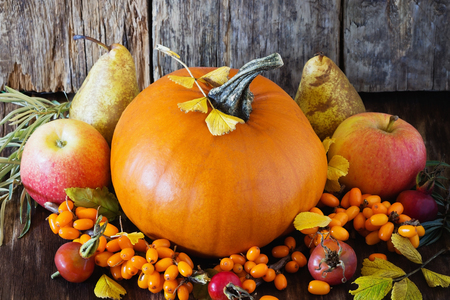Large delicious pumpkin and different fresh fruit on wooden background. Bio healthy food. Organic vegetables.  Rustic style. Selective focusの写真素材