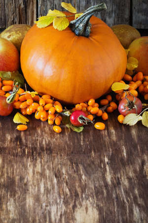 Large delicious pumpkin and different fresh fruit on wooden background. Bio healthy food. Organic vegetables.  Rustic style. Selective focusの写真素材